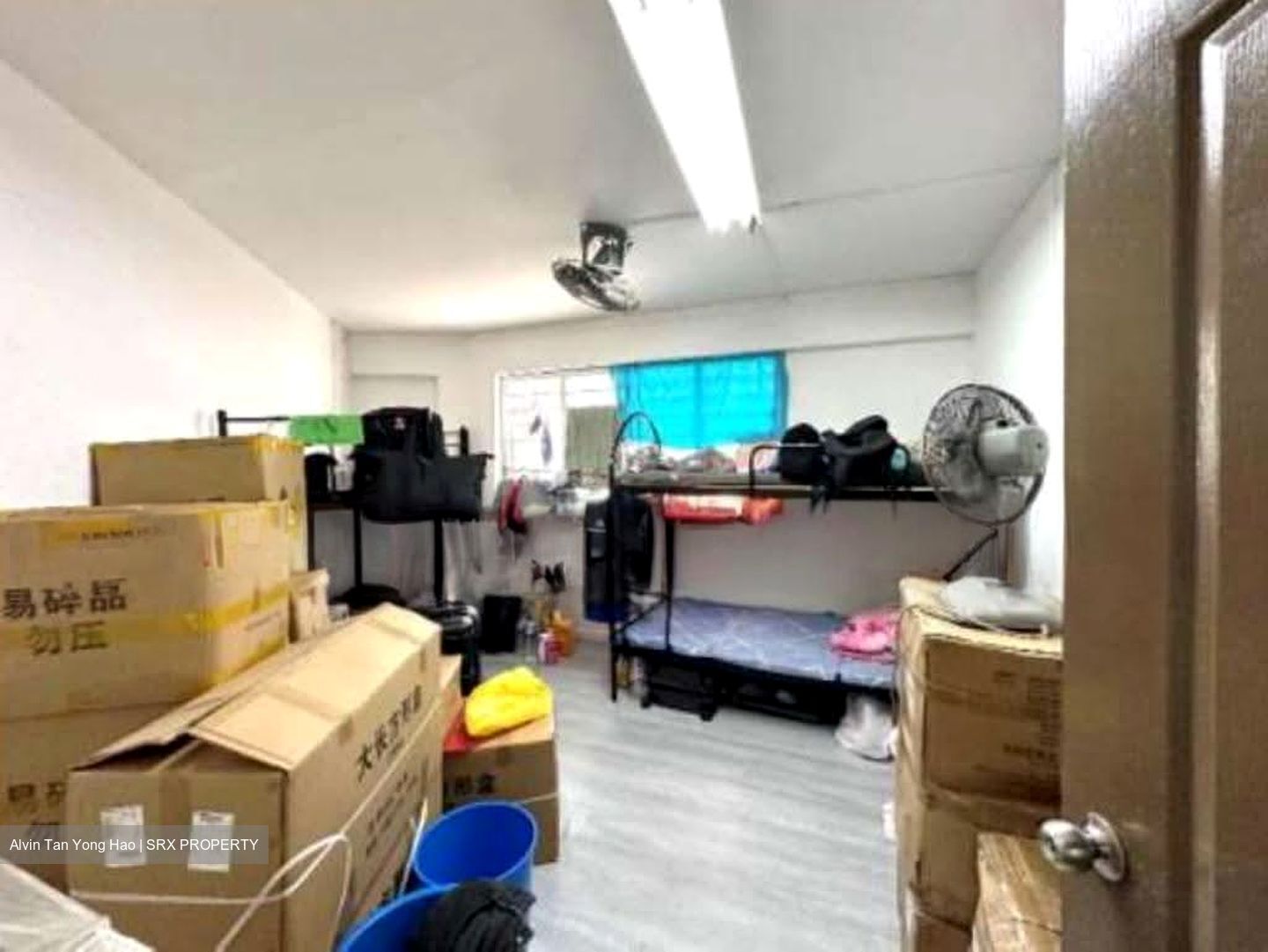 Hougang Avenue 1 (D19), Shop House #611014611